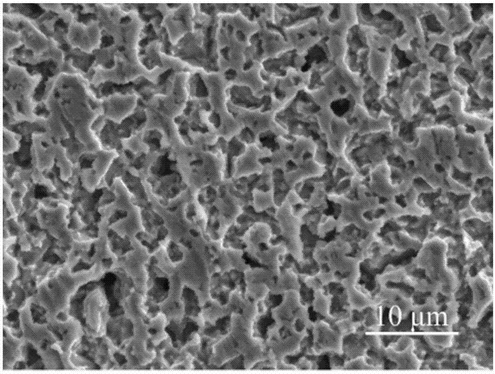 202512121019463419.png 202512121019463419.png